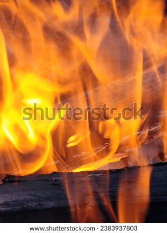 Picture of a burning flame burn wood to ashes