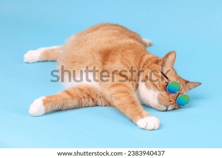 Cute ginger cat in stylish sunglasses lying on light blue background