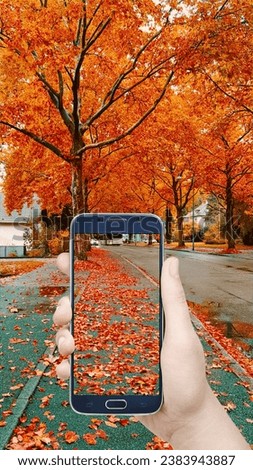 A beautiful fall season picture captured from a roadside