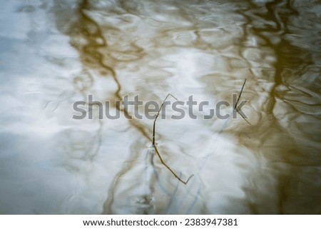 The river in spring time is in the background. High quality photo