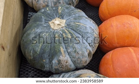 Closeup picture of whole fresh pumpkin