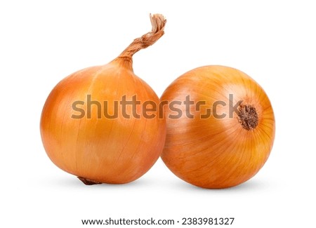 Onion bulbs isolated on white background