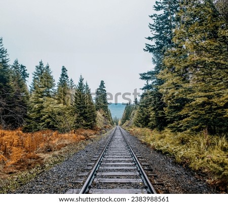 A Railroad Track Lined with Trees