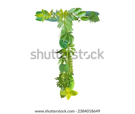 T shape made of various kinds of leaves isolated on white background, go green concept.
