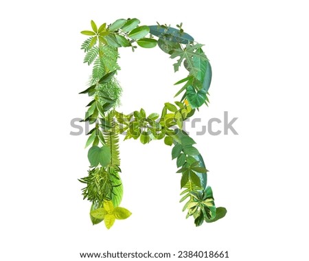 R shape made of various kinds of leaves isolated on white background, go green concept. Royalty-Free Stock Photo #2384018661