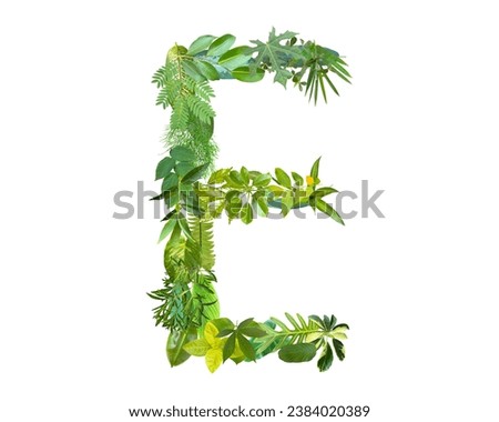 E shape made of various kinds of leaves isolated on white background, go green concept.