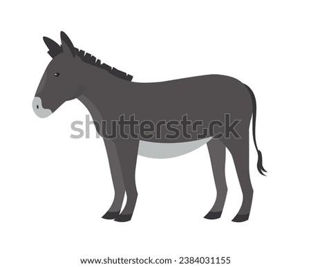 Donkey animal, vector illustration Standing. Side view. Flat illustration. farming, agricultural species  Royalty-Free Stock Photo #2384031155