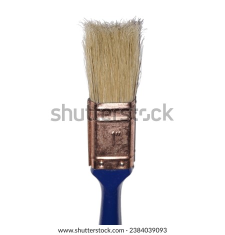 Handle Paint Brushes isolated with clipping path