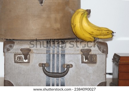 A bunch of ripe bananas pictured with vintage luggage