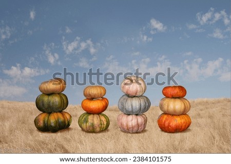 Pumpkins stacked on top of each other, isolated in a golden dry grass field with sky. Clipping path around pumpkins. Copy space.