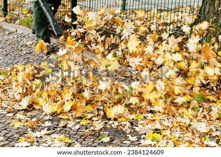 Leaf blower images set against the vibrant backdrop of autumn. These pictures capture the essence of fall cleanup, with leaves being effortlessly blown away. Ideal for projects celebrating the beauty