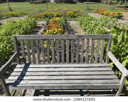 A wooden bench in the garden.