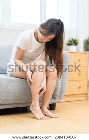 Muscle pain or leg pain, suffer asian young woman, girl hand massaging brawn leg calf muscle cramps or spasm, trauma from inflammation of tendon at calves while sitting on sofa. Health care concept. Royalty-Free Stock Photo #2384134507