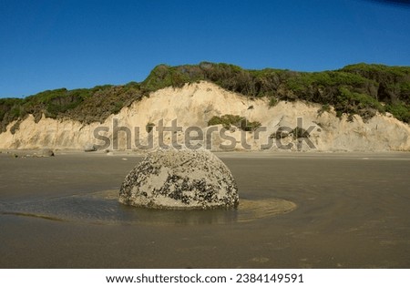 Photo of sectarian concretions, a natural phenomenon, at Hampden Beach on east coast of New Zealand. These spherical rocks have hollow interior and embedded in the sand where they erode and break up. Royalty-Free Stock Photo #2384149591