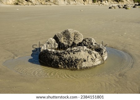 Photo of a sectarian concretion at Hampden Beach which has been eroded by the ocean which is only meters away. They will eventually disappear over time. This is our third visit but with fewer boulders Royalty-Free Stock Photo #2384151801