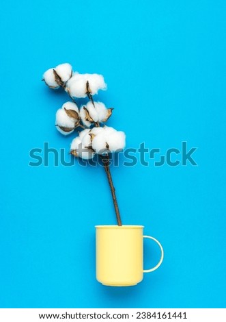 A sprig of cotton in a yellow mug on a blue background. Conceptual photo.