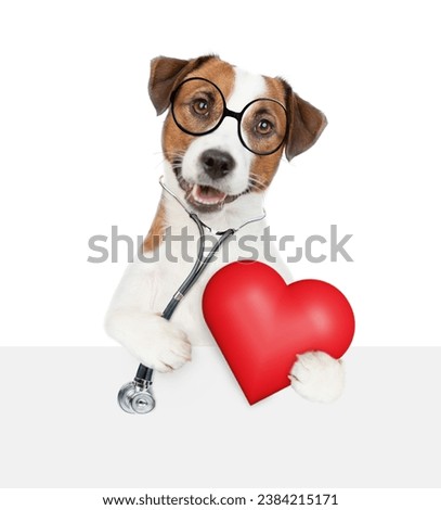 Smart jack russell terrier with stethoscope on his neck looks above empty white banner and holds red heart. isolated on white background.