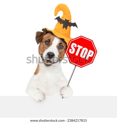 Jack russell terrier puppy wearing hat for halloween shows stop sign above empty white banner. isolated on white background