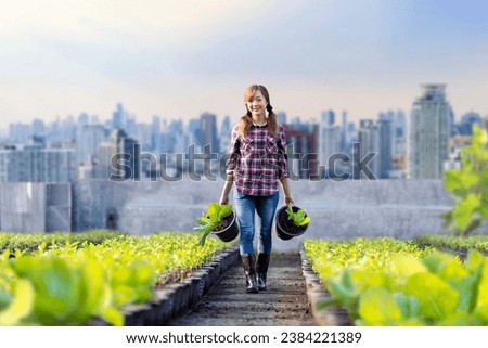 Asian woman gardener is growing organics vegetables while working at rooftop urban farming for city sustainable gardening on limited space to reduce carbon footprint pollution and food security Royalty-Free Stock Photo #2384221389