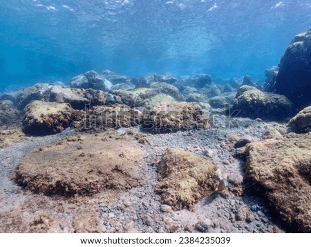 Underwater pictures, diving pictures, blue ocean snorkel Royalty-Free Stock Photo #2384235039