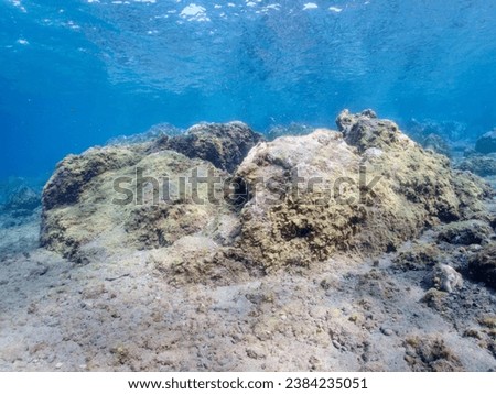 Underwater pictures, diving pictures, blue ocean snorkel Royalty-Free Stock Photo #2384235051