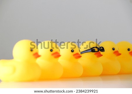 Six yellow rubber ducks in a row line. One duck stands out in focus wearing nerdy glasses. Stand out, be smart, get one’s ducks in a row concept.