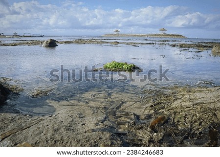 A calm sea water with blue sky as the background