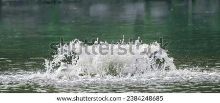Troubled water surface in a pond by an underwater fountain