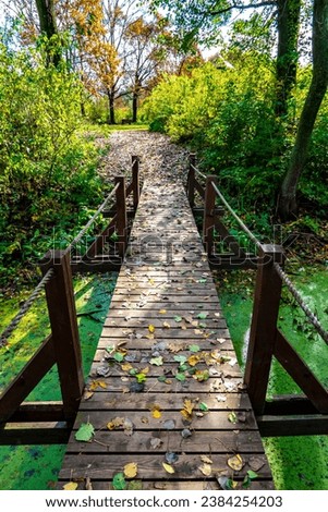 Beautiful autumn nature with a wooden bridge over the swamp of the dead end of the Laborec river in the Oborin region, Slovakia