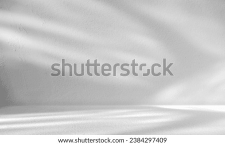 Empty Grey Cement wall and floor perspective Background with Shadow light well display product background and text present on free space, Backdrop Background 