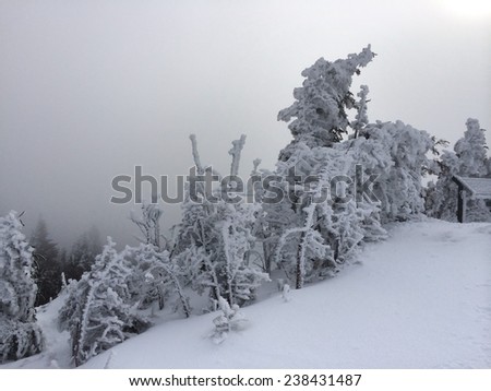 Snowy slope in the mountains 