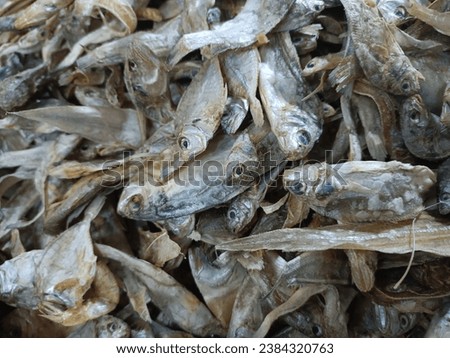 Picture of dried Fish, Top of view of dried Fish. 