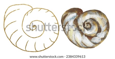 Acrylic hand painted sea shells  illustration, golden graphic liner shell clipart, ocean life clip art