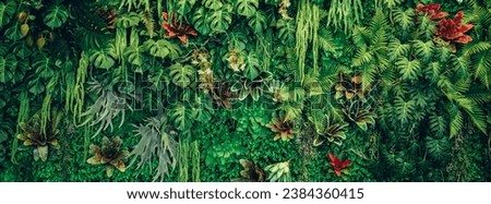 Group of background tropical green leaves texture. Natural green wallpaper and background. Green of Nature wallpaper.	