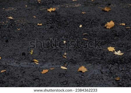 New asphalt coating. road surface Replacement of old asphalt. Close-up of road works