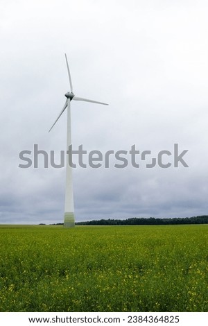 Wind power plant in the green field view and distant forest at summer morning. Vertical photo.