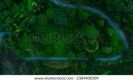 beautyfull landscape top view of curved road and green forest in the rain season, rural routes connecting city  north of thailand, Ecosystem and ecology healthy environment concepts, drone top view,
