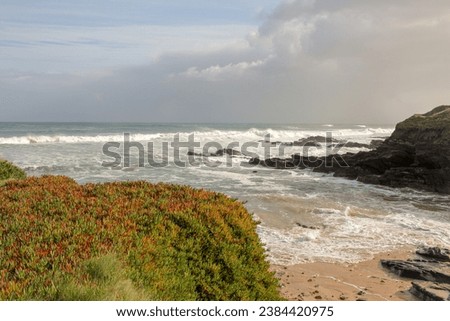 an autumn storm with large waves in the Cantabrian sea in Spain
