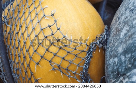 Yellow pumpkin in an old net. Harvest concept. High quality stock photo.