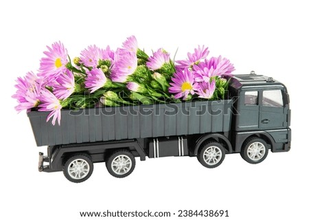 A miniature toy truck delivering purple European Michaelmas daisy flower. Royalty-Free Stock Photo #2384438691