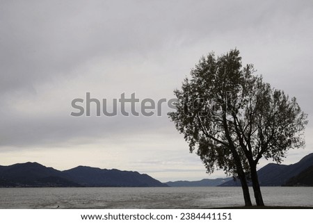 View of a glimpse of Lake Maggiore from the lakefront promenade of Maccagno. Lake Maggiore, Italy
