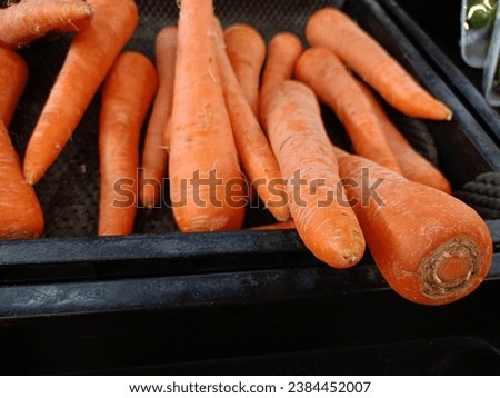 Photo spring food vegetable carrot. Texture background of fresh large orange carrots. Product Image Vegetable Root Carrot