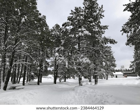 Beautiful View of Winter Season at Flagstaff, Arizona, United States