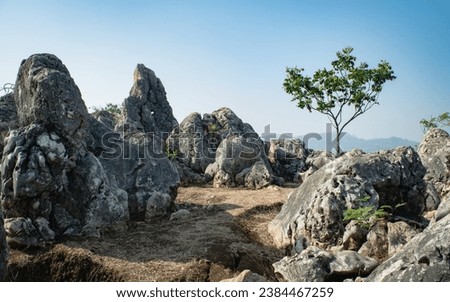 This image presents a close-up view of the rocky terrain at the Stone Garden in Bandung. A solitary tree stands in the background, its wide green canopy contrasting with the gray, jagged rocks. Royalty-Free Stock Photo #2384467259