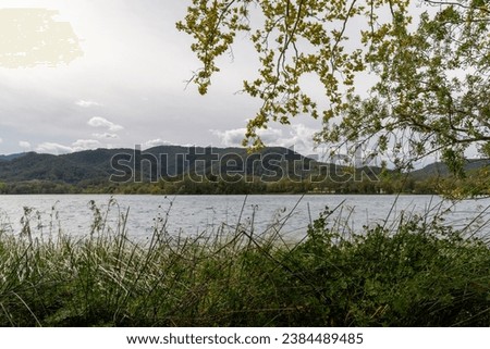 Landscape of trees and lake a day with clouds and sun