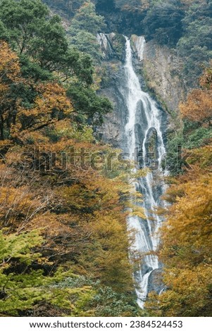 Pictures of waterfalls in the forest foliage.