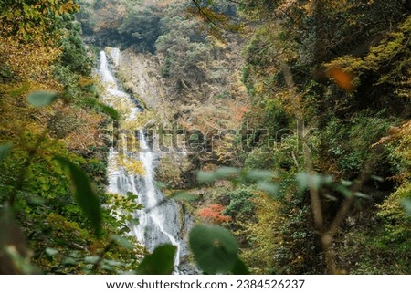 Pictures of waterfalls in the forest foliage.