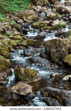 Pictures of Fallen Leaves and Clear Streams