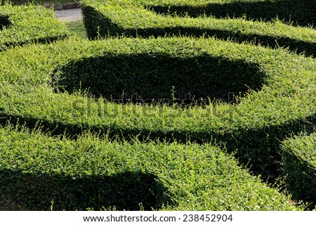labyrinth maze garden outdoor