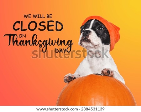 Signboard with the inscription We will be closed on Thanksgiving. Cute puppy and orange hat. Closeup, indoors. Studio shot. Pets care concept
